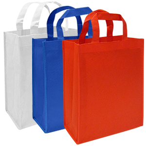Eco Medium Bag 25 x 30 x 8 cm.
