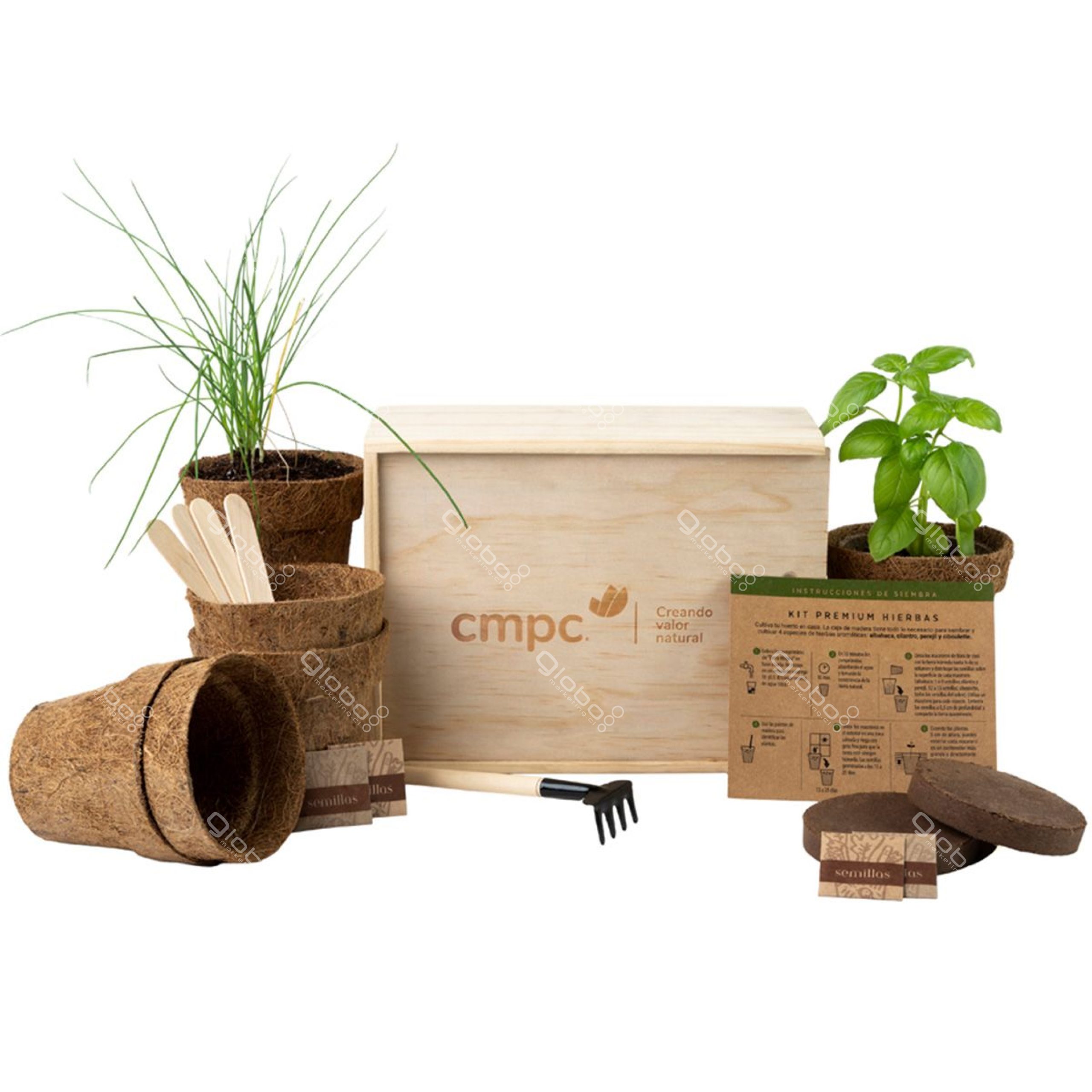 Caja premium gourmet