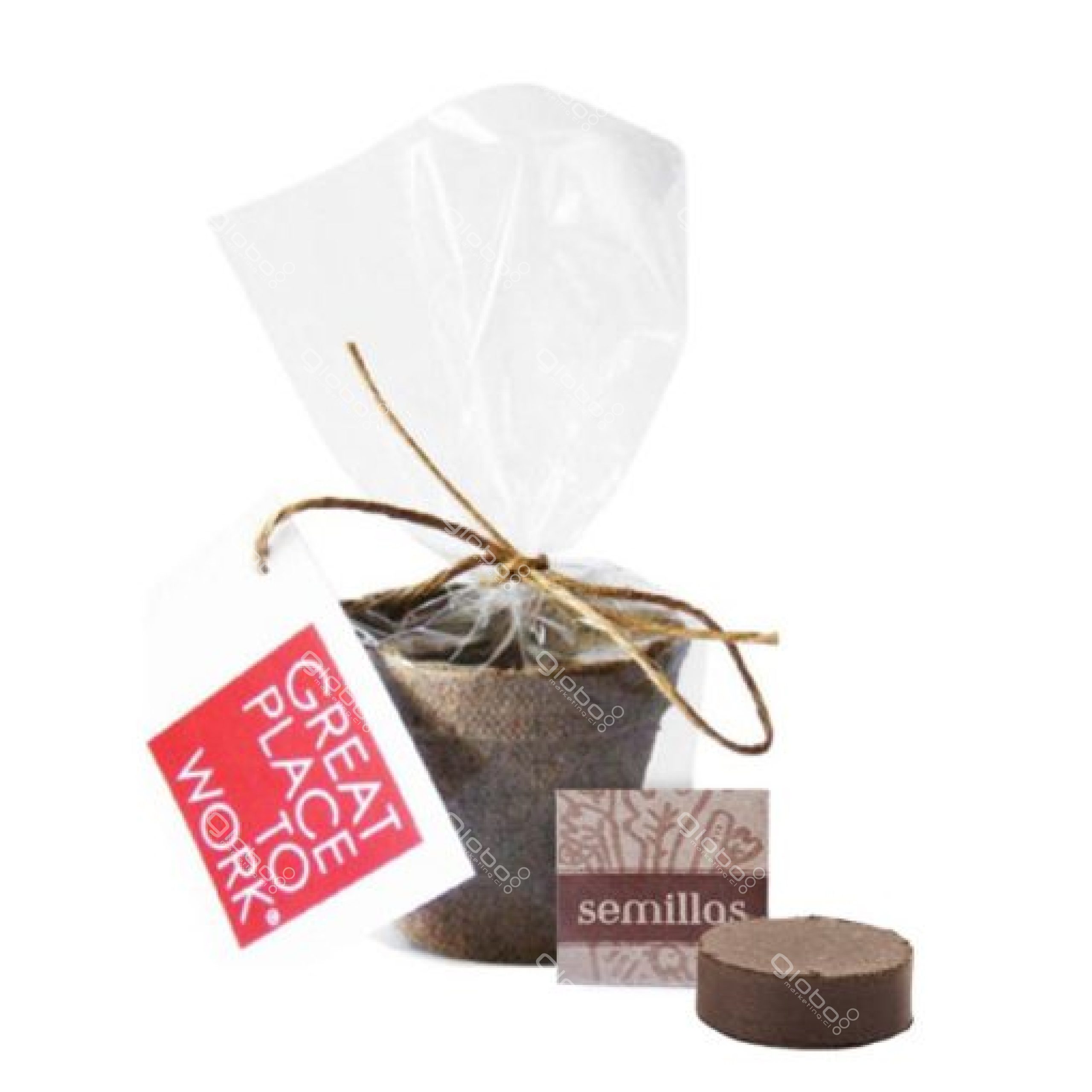 KIT DE SIEMBRA 01 Siembra Base
